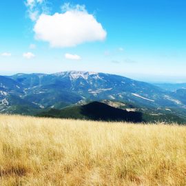 Tu les as déjà regardé, les arbres ? Tu les as déjà regardé, les arbres ?