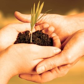 Méditation en famille – Conférence en ligne