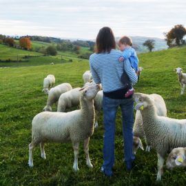 Projet Groupama : Ecoutez voir…