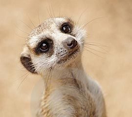 Maman, est-ce que je pourrai avoir un téléphone ?