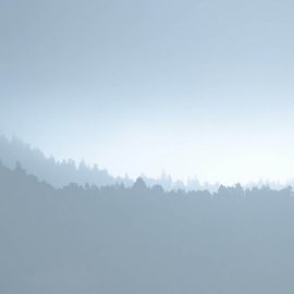 « Prends tout ce que tu veux »- Histoire pour vivre en pleine conscience